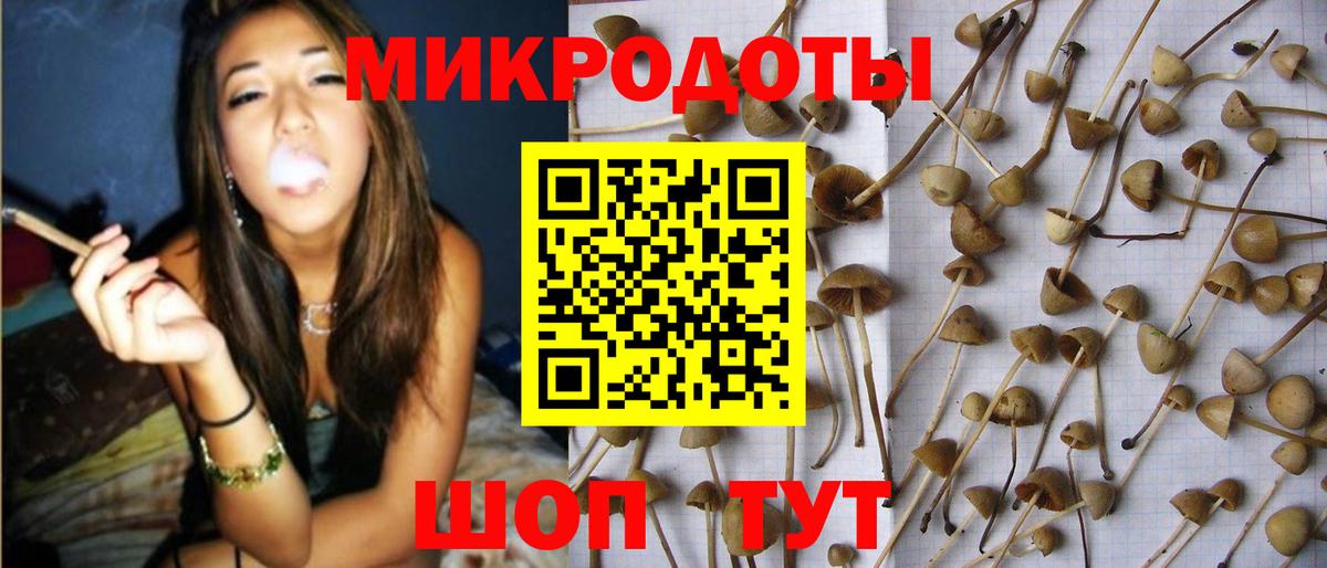 Галлюциногенные грибы GOLDEN TEACHER Кувандык