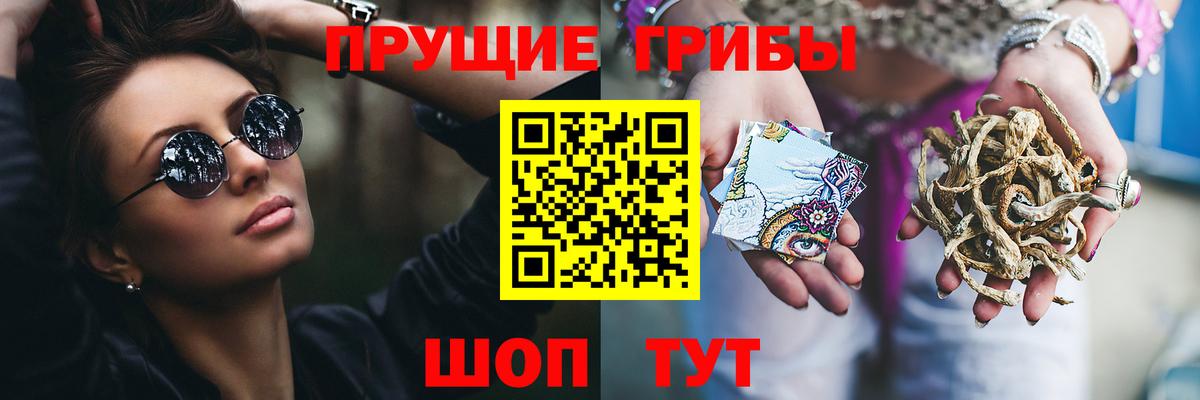 Кувандык  Псилоцибиновые грибы ЛСД  купить наркотики сайты  Галлюциногенные грибы ЛСД  Вход с VPN 