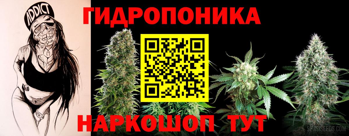 МАРИХУАНА семена Кувандык